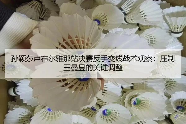 sun-ying-sha-lu-bu-er-ya-na-zhan-jue-sai-fan-shou-bian-xian-zhan-shu-guan-cha-ya-zhi-wang-man-yu-de-guan-jian-tiao-zheng-2-755.jpg